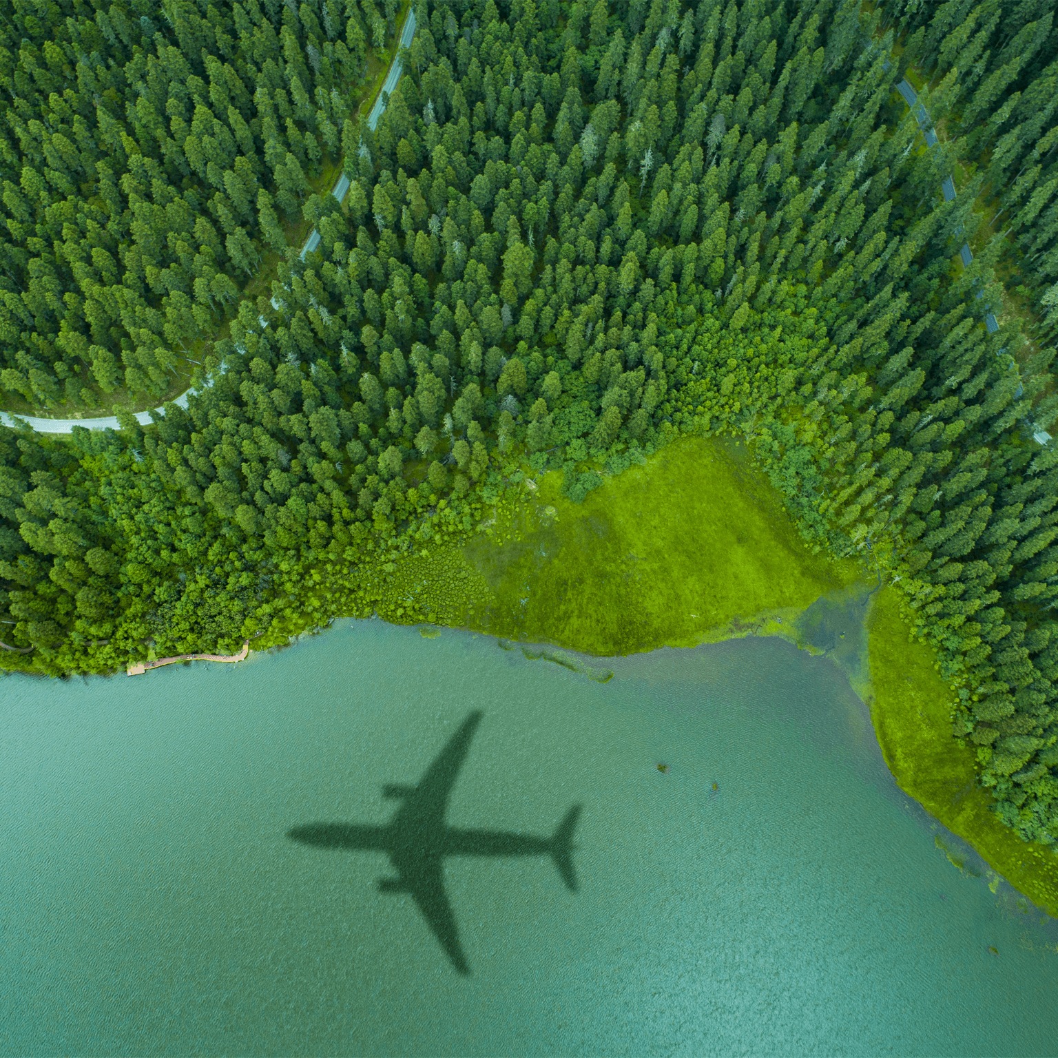 Decarbonizing Aviation: Making Net Zero Possible | McKinsey